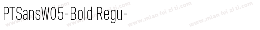 PTSansW05-Bold Regu字体转换